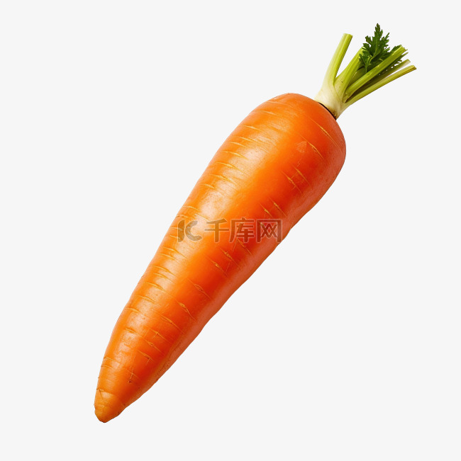 单个新鲜橙色胡萝卜蔬菜，以 p