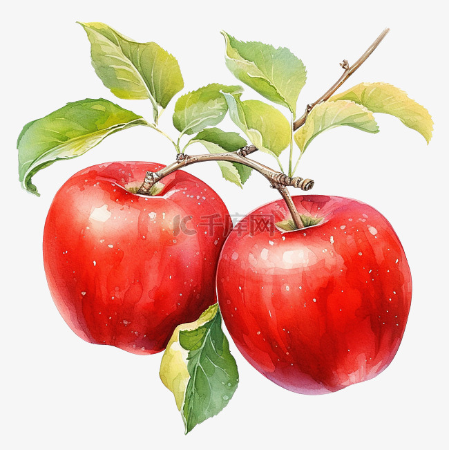 苹果水果画