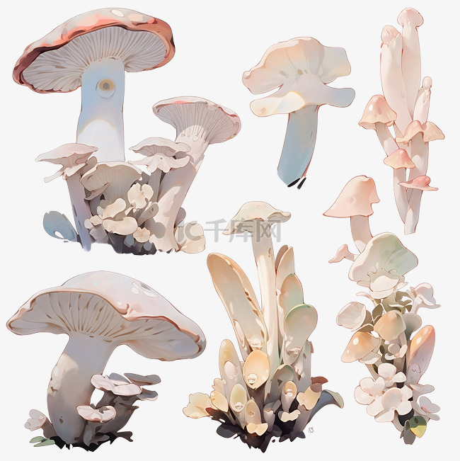 白蘑菇画水彩