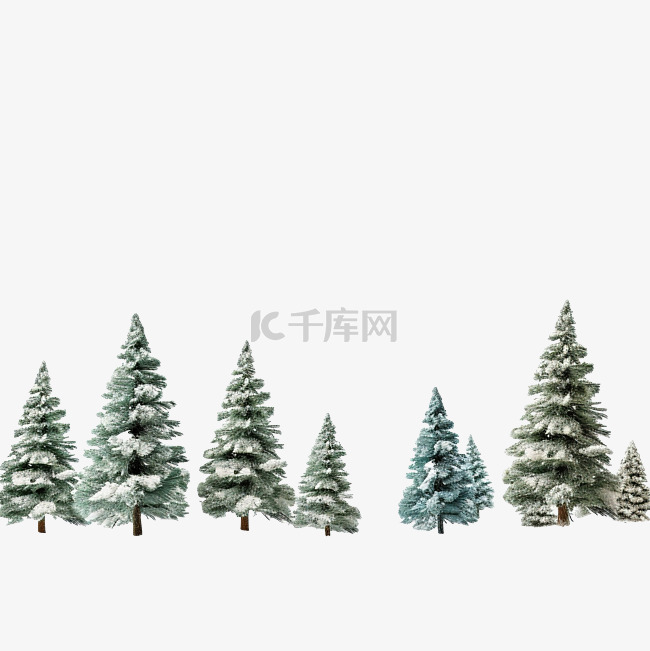 冬季降雪后雪中的森林小圣诞树