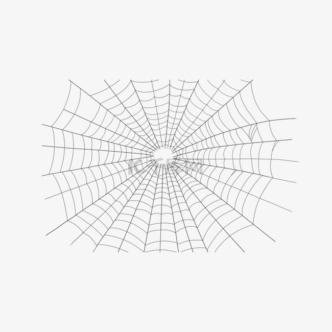 蜘蛛网横图真实蛛网