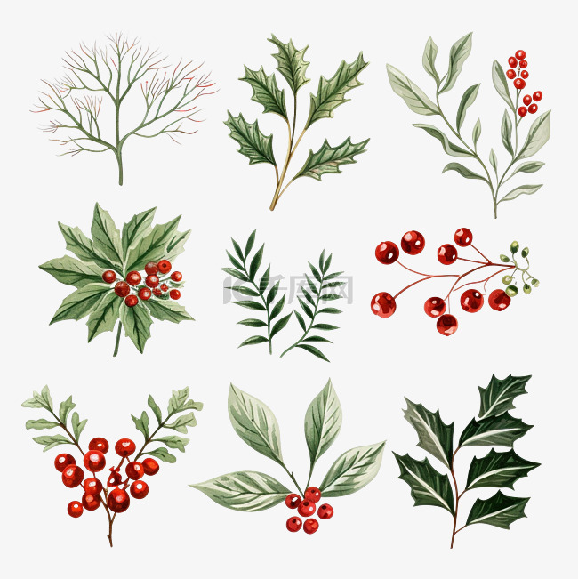 一组矢量图案与圣诞冬青树枝叶花