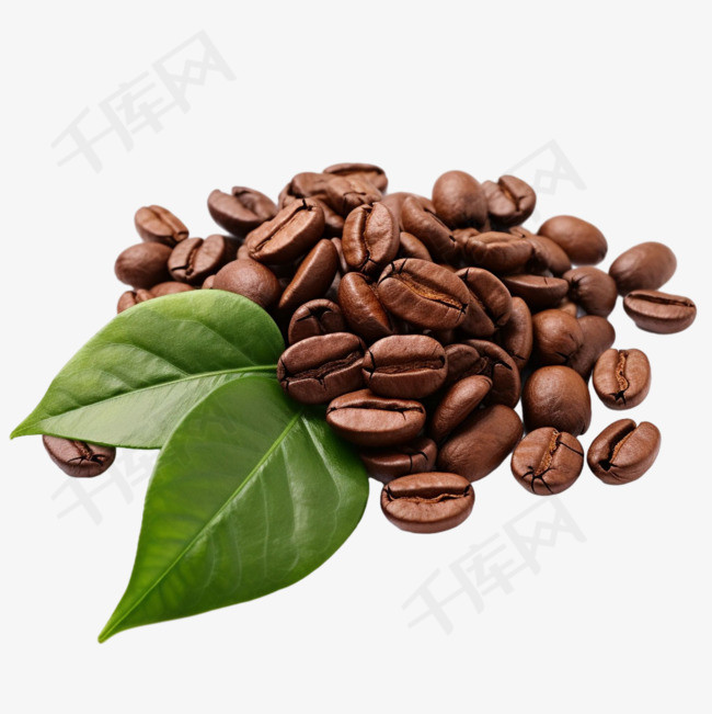 咖啡豆树叶元素立体免抠图案