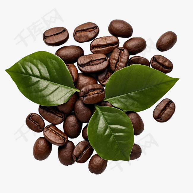 咖啡豆树叶元素立体免抠图案