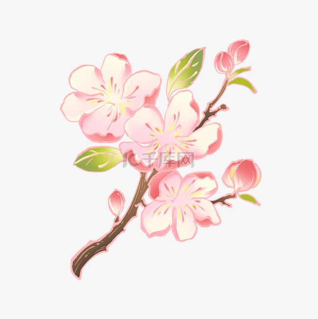 春天水彩手绘桃花植物免抠元素