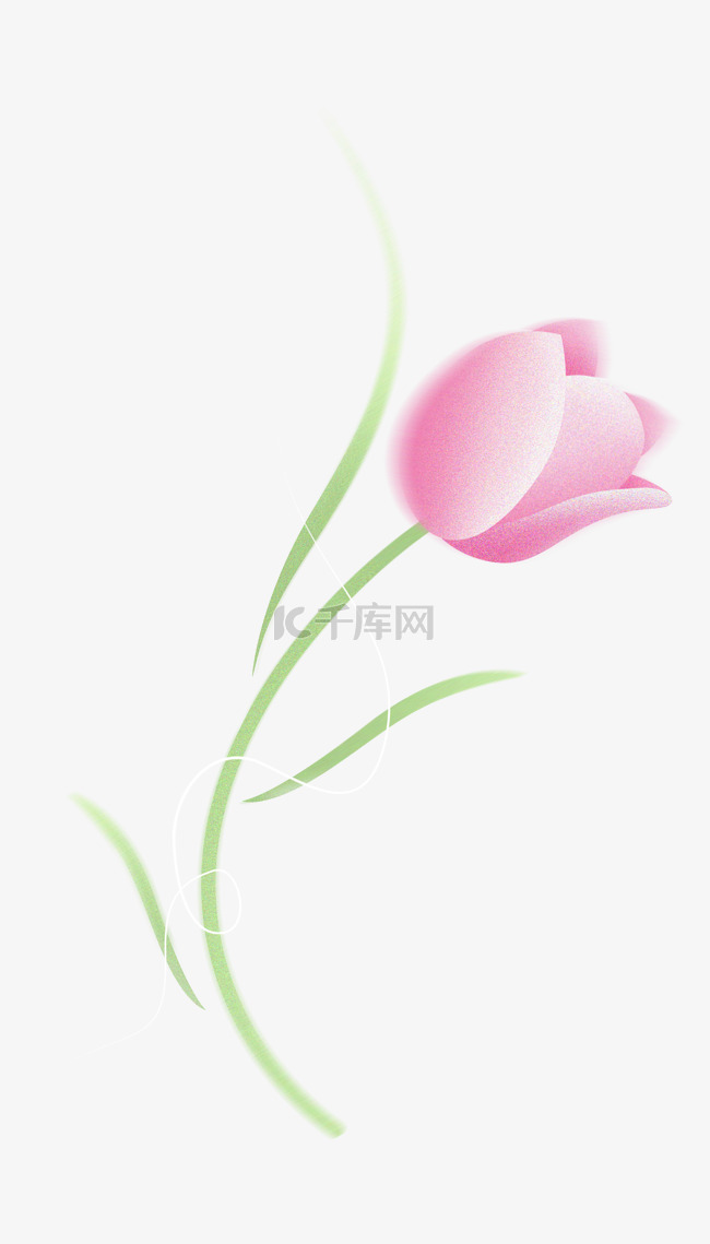 春天弥散鲜花情人节弥散浪漫郁金