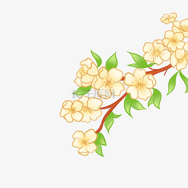 春天春季梨花花朵春分清明清明节