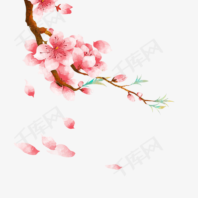 春天春季桃花樱花春分设计