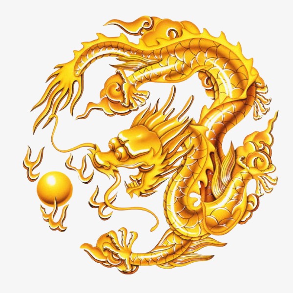 五爪金龙