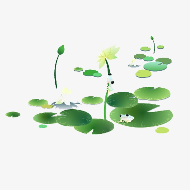 整张荷叶卡通