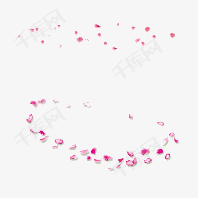 飘落的花瓣素材图片免费下载_高清漂浮素材png_千库网