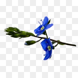 app启动也-设计元素_免费PNG图片素材库588