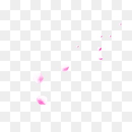 飘落的花瓣素材图片免费下载_高清png_千库网(图片