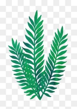 芭蕉叶_设计元素_芭蕉叶图片背景素材大全_千