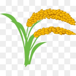 稻-设计元素_免费PNG图片素材库588ku.com,