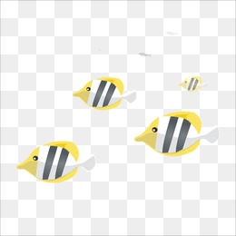 【斑马鱼素材】_斑马鱼图片大全_斑马鱼素材