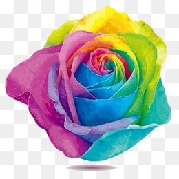 彩虹玫瑰花矢量图
