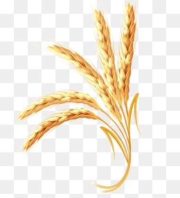 支付宝实名认证-设计元素_免费PNG图片素材库