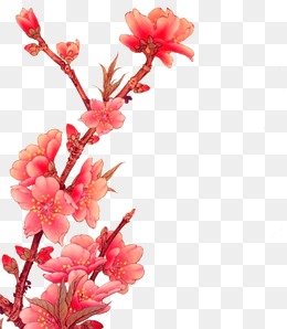 淘宝一枝梅