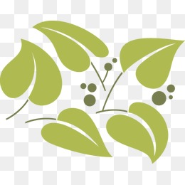 叶子手绘清新头像
