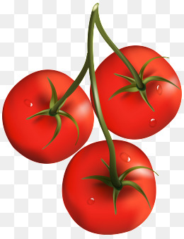 圣女果_设计元素_圣女果图片背景素材大全_千