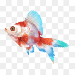 彩色金鱼_设计元素_彩色金鱼图片背景素材大