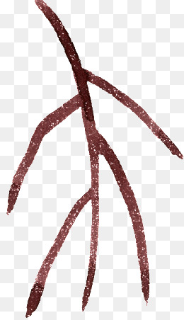 【树杈素材】_树杈图片大全_树杈素材免费下