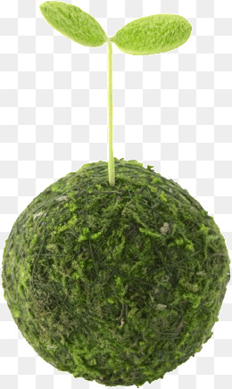 植物草芽