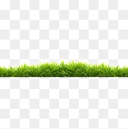 一片绿草地图片背景素材免费下载,图片编号5550709_千库网588ku.com