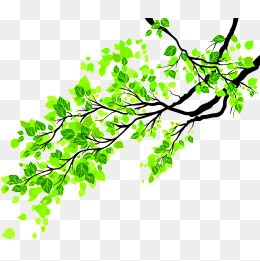 绿叶子装饰图片大全 29579a383dd7eb7.jpg
