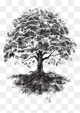 素描大树