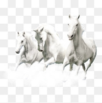 澳门回归黑色大气十八周年宣传海报背景图片免