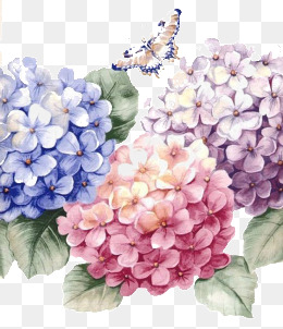 交易查询-设计元素_免费PNG图片素材库588k