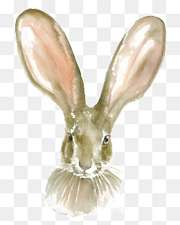 大耳兔_设计元素_大耳兔图片背景素材大全_千库网588ku.com,0-default-0-0