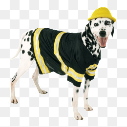 狗狗衣服_设计元素_狗狗衣服图片背景素材大