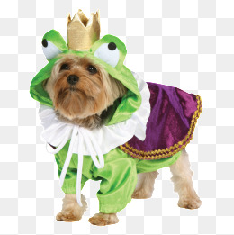 狗狗衣服_设计元素_狗狗衣服图片背景素材大