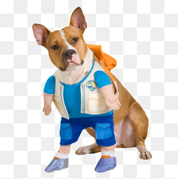 狗狗衣服_设计元素_狗狗衣服图片背景素材大