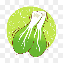 手绘小白菜