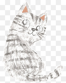 猫咪背影