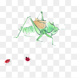 【蝈蝈素材】_蝈蝈图片大全_蝈蝈素材免费下载_千库网png