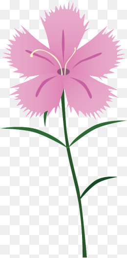 手绘蝴蝶花紫色花