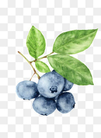 保险公司目标业绩榜(原创)图片