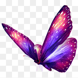 绣蝴蝶图案全套 1457d9423e98a86.jpg