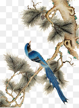 松树图片背景素材免费下载,图片编号3989100