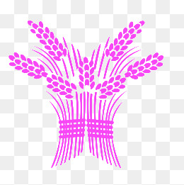 稻谷卡通-设计元素_免费PNG图片素材库588k