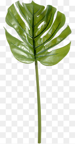 绿叶子的小说作品 0657f5ac94ceb8d.jpg