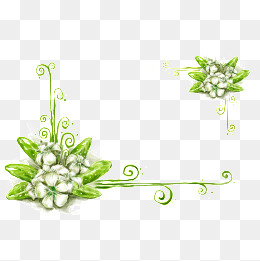 花朵边框