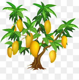 芒果树_设计元素_芒果树图片背景素材大全_千