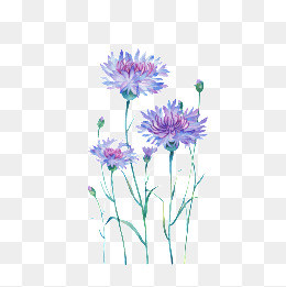 交易查询-设计元素_免费PNG图片素材库588k