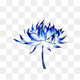蓝莲花